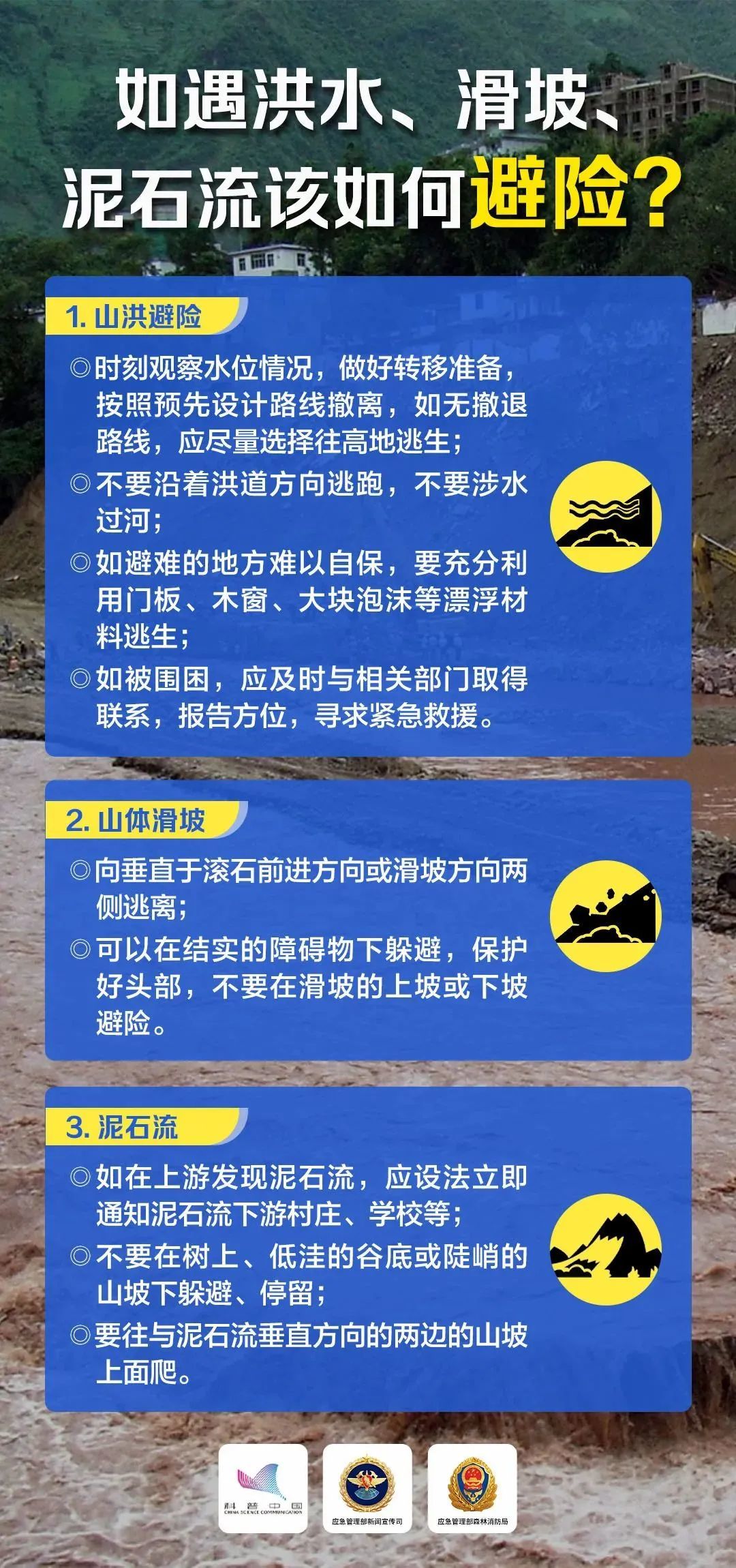 2024年12月29日 第50页