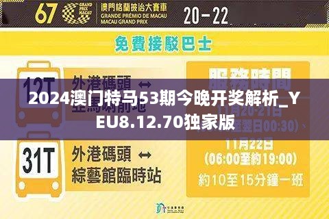 《2024今晚已开特马结果》——对未来的期许与期待