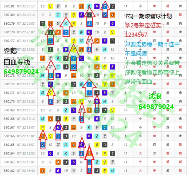 《168飞艇公式预测月.93O79.判官团队》：分析与展望