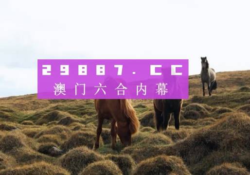 2023澳门精准一肖一码准确的分析与展望